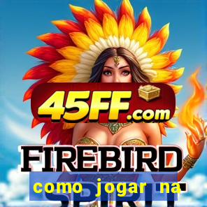 como jogar na loteca pela internet